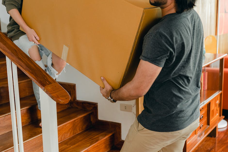 View from above of two individuals carrying boxes and a potted plant down a staircase inside a residential property. The woman, with long dark hair, holds a medium-sized cardboard box, while a young boy, wearing a checkered shirt, carries a book and holds a potted plant with green leaves. The staircase features black railing and dark flooring, with a wall-mounted light fixture illuminating the area. Near the top of the stairs, a window with a black frame provides natural light, and a white wall with vertical paneling is visible. The scene depicts the process of home relocation or packing and moving, with items carefully transported through indoor stairs, supported by professional removals service provider, Man with Van Gants Hill.